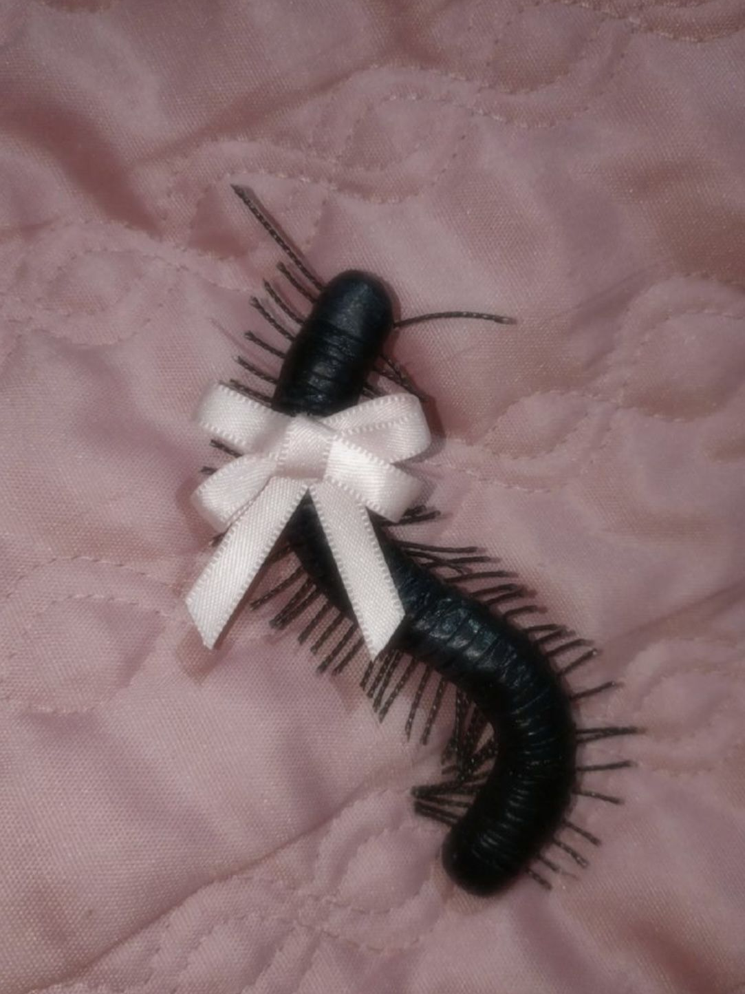 주인님의 애완벌레 대표 이미지