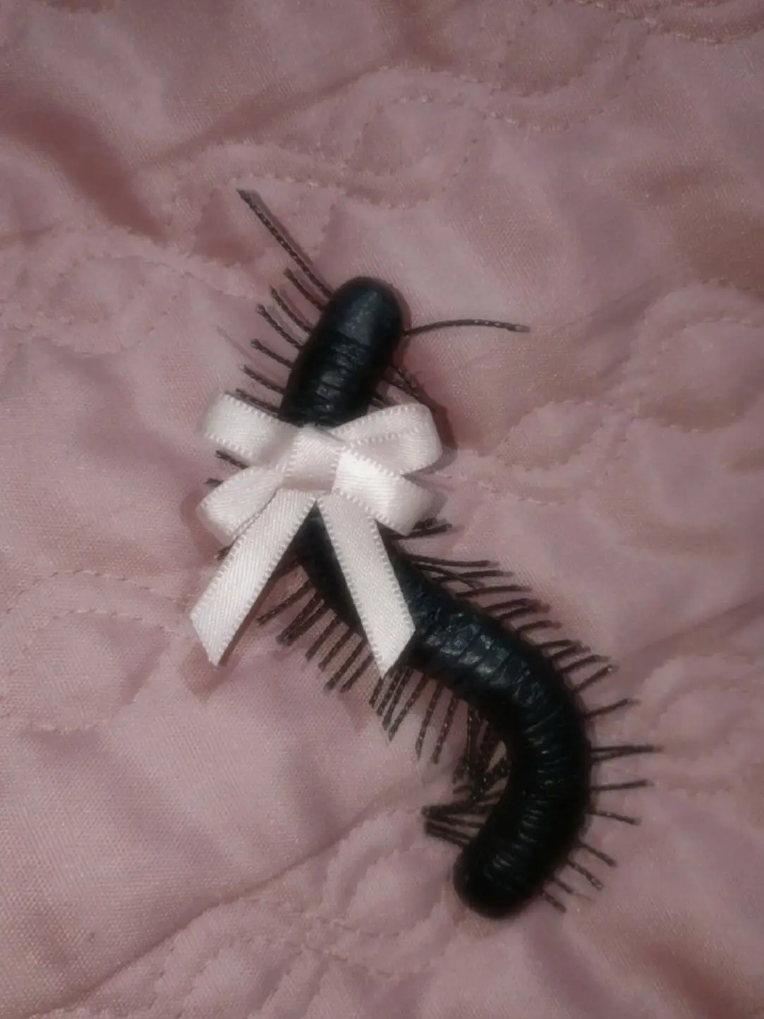 HPGsglg의 주인님의 애완벌레