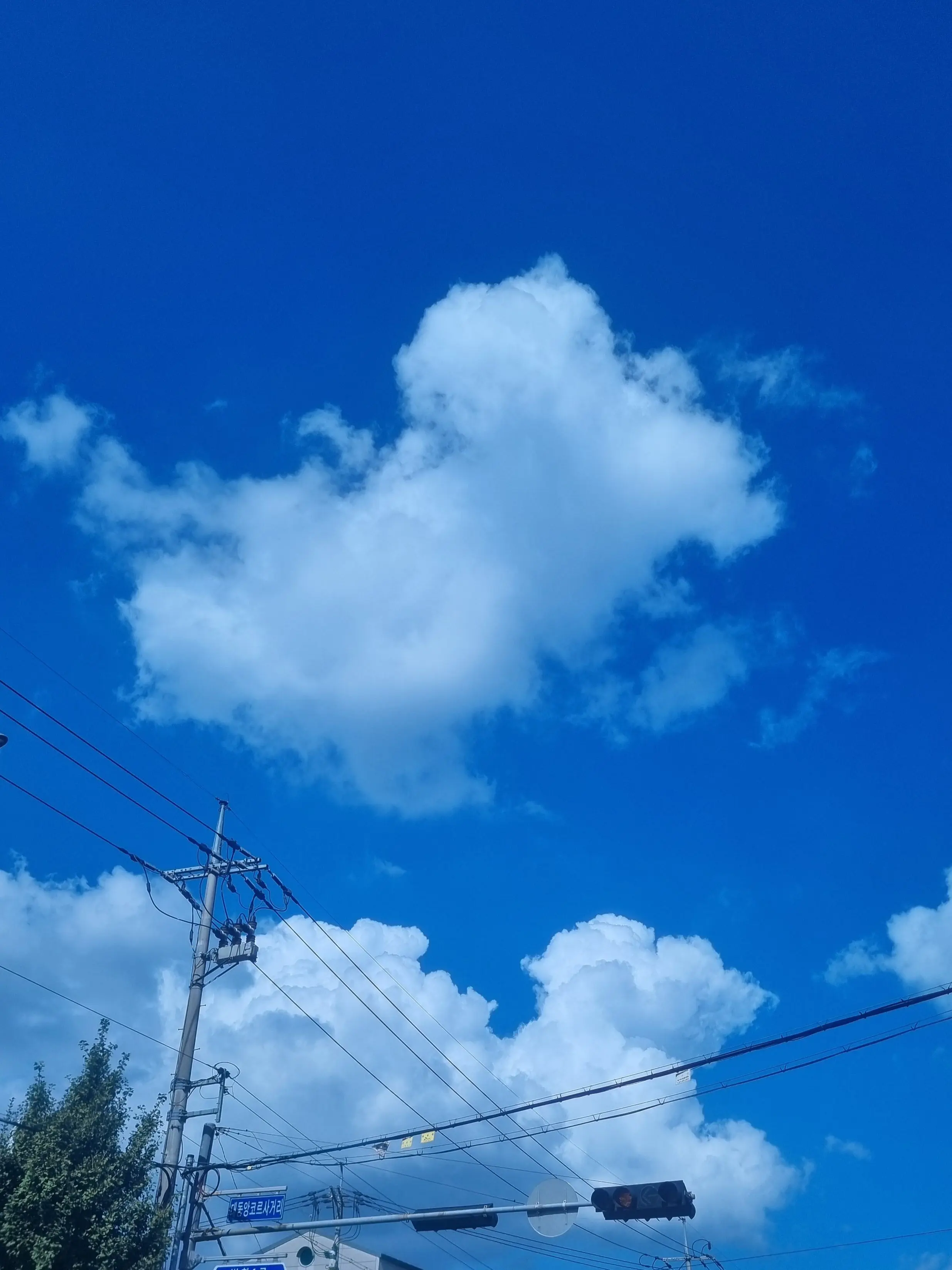 BrashAwake1060의 ⭐세릴퓨바유저💫