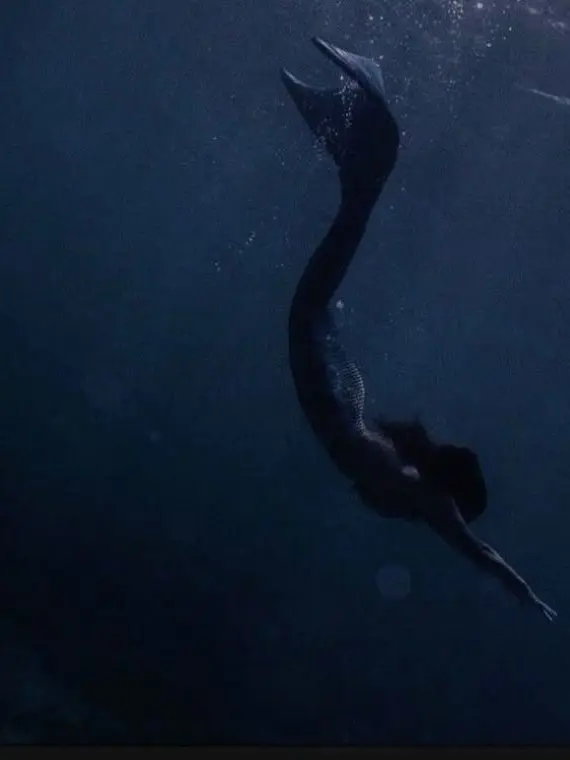 Kittykity의 Siren
