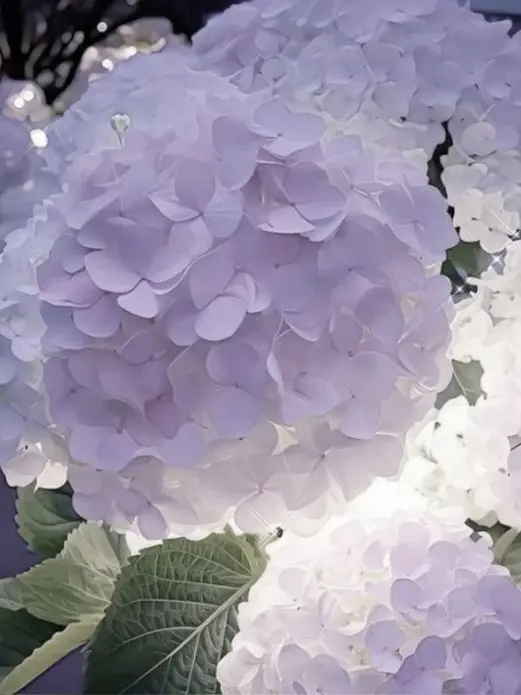 Kanae_074의 不破湊