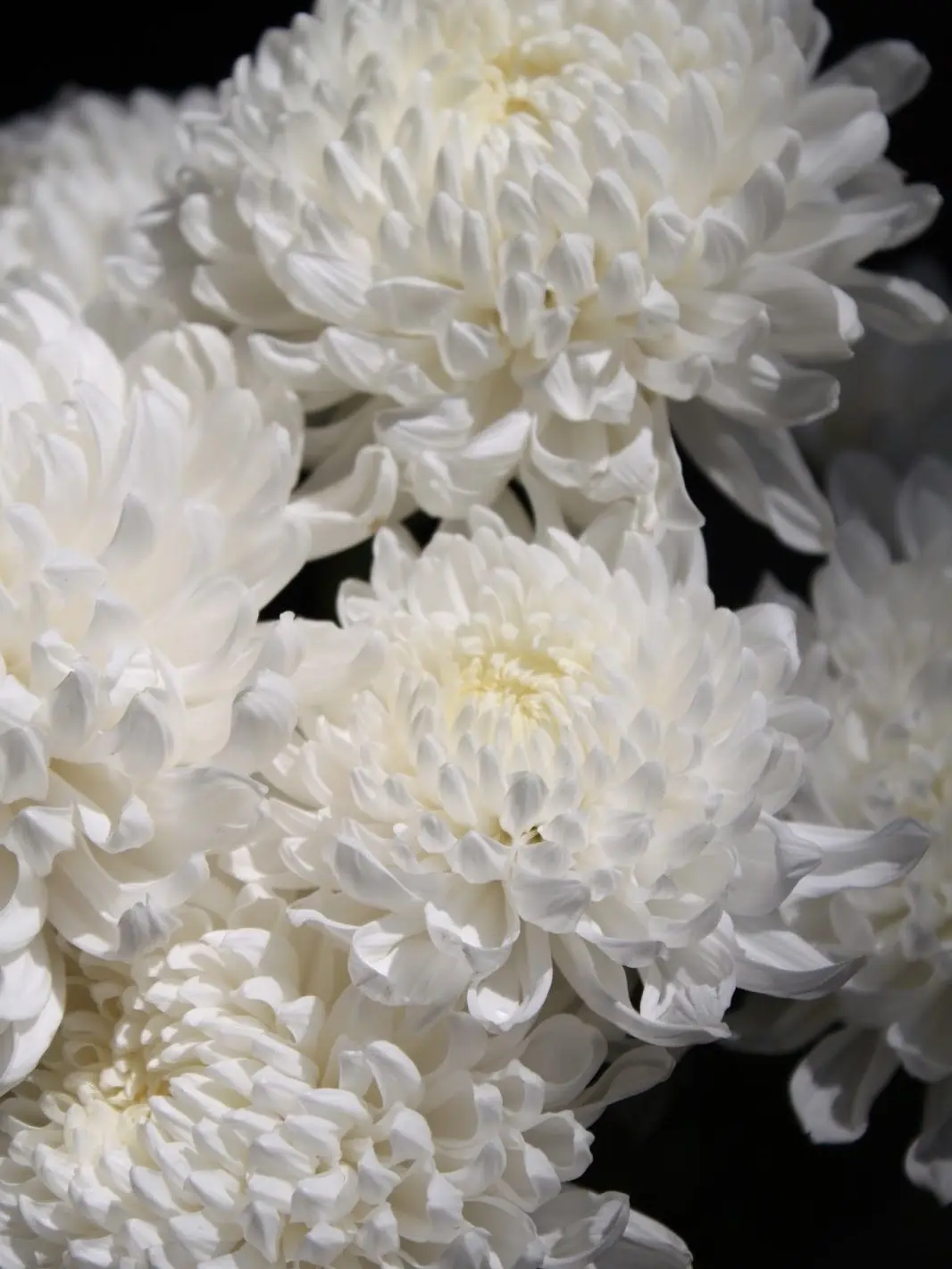 seven_nine79의 손을 뻗어봐도.