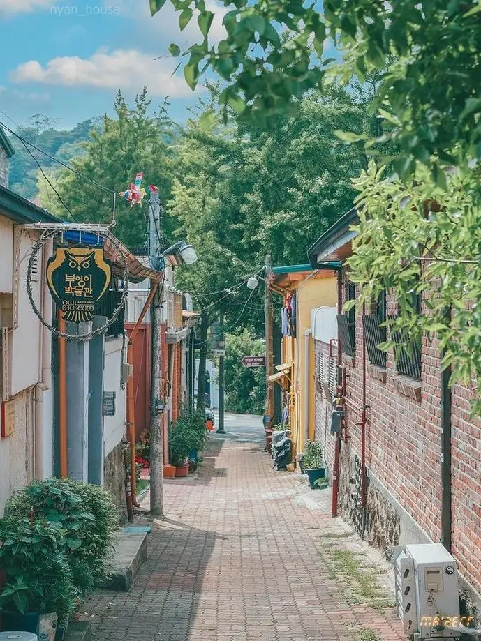 MerryKiwi7895의 골목대장 우리