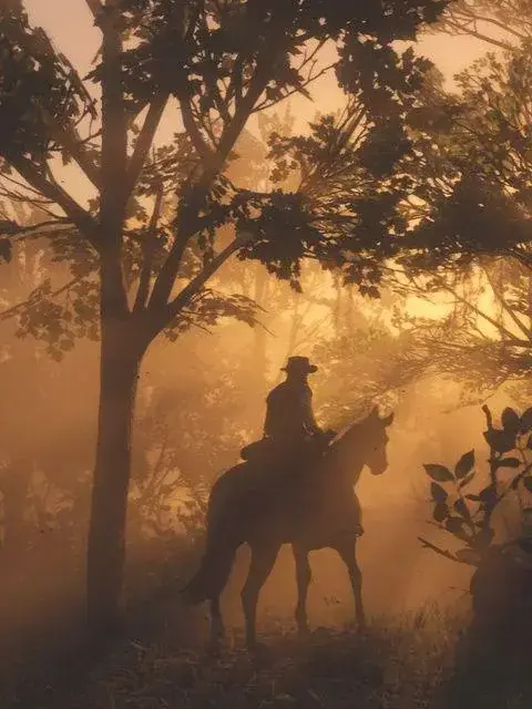 FireOfWar의 Red Dead Redemption 2