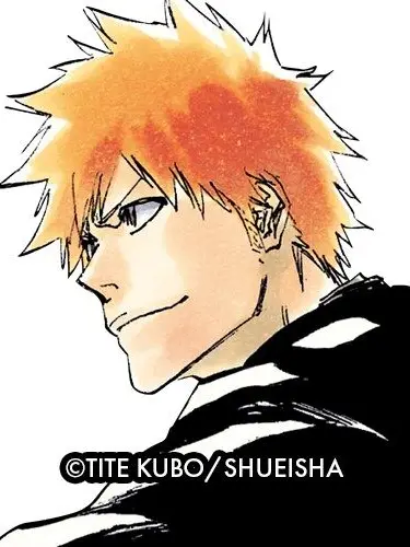 FrayedRuler3524의 Bankai!!