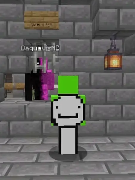 Random_numbers의 DSMP X Unstable 😱 | Free/Dream pov