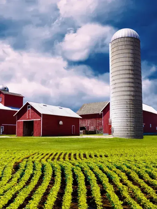 Redgaze065의 농장