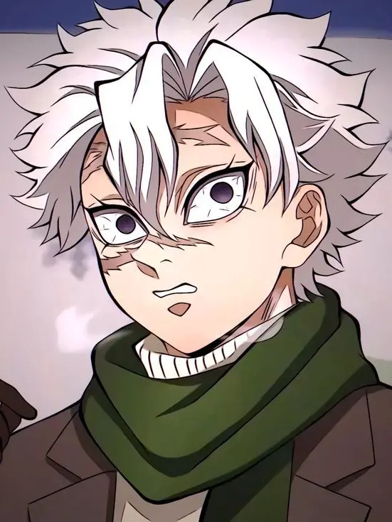 SANEGIYUU의 시나즈가와 사네미