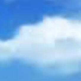 노바라,마키,쇼코,우라우메,미와