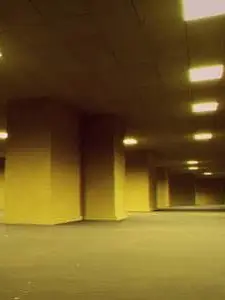 YoungLynx9771의 Backrooms / Forsaken