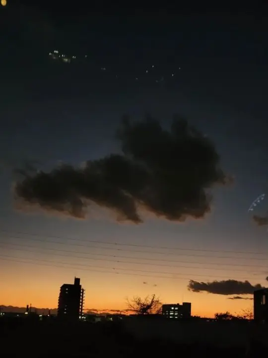 seru0812의 君を救うために、僕は未来を捨てた。