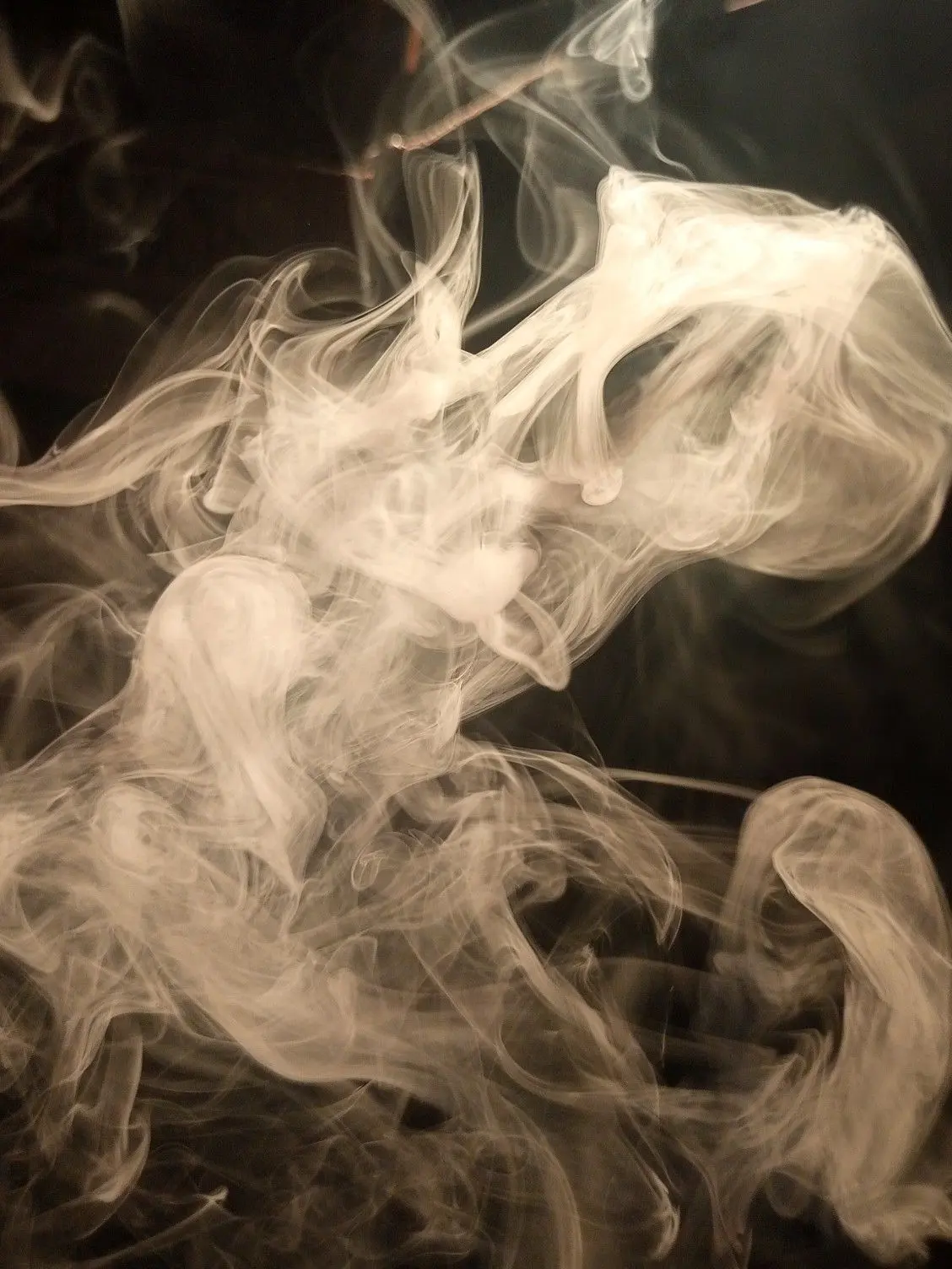 SnugRoot6383의 puff puff pass