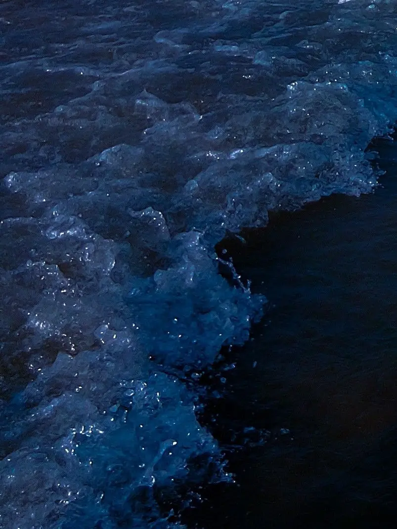 LeafyToe4879의 𝓑𝓻𝓮𝓪𝓽𝓱