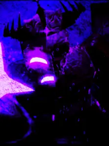 vanityslashe의 nori達とシェアハウス！