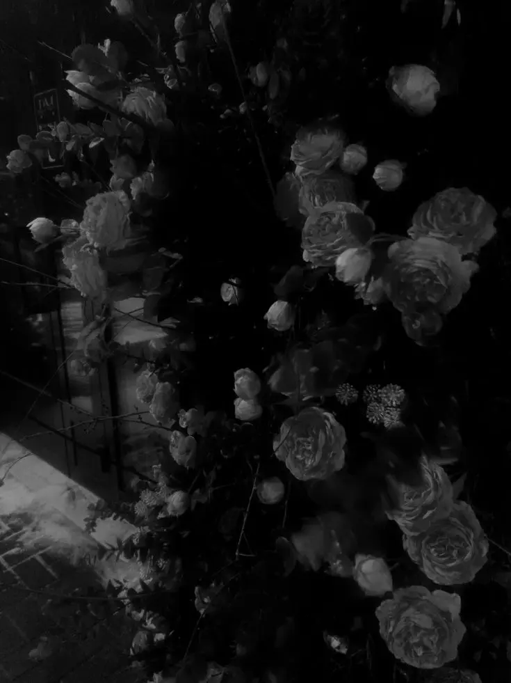 CloudyVein9342의 幼馴染以上恋人未満共依存中