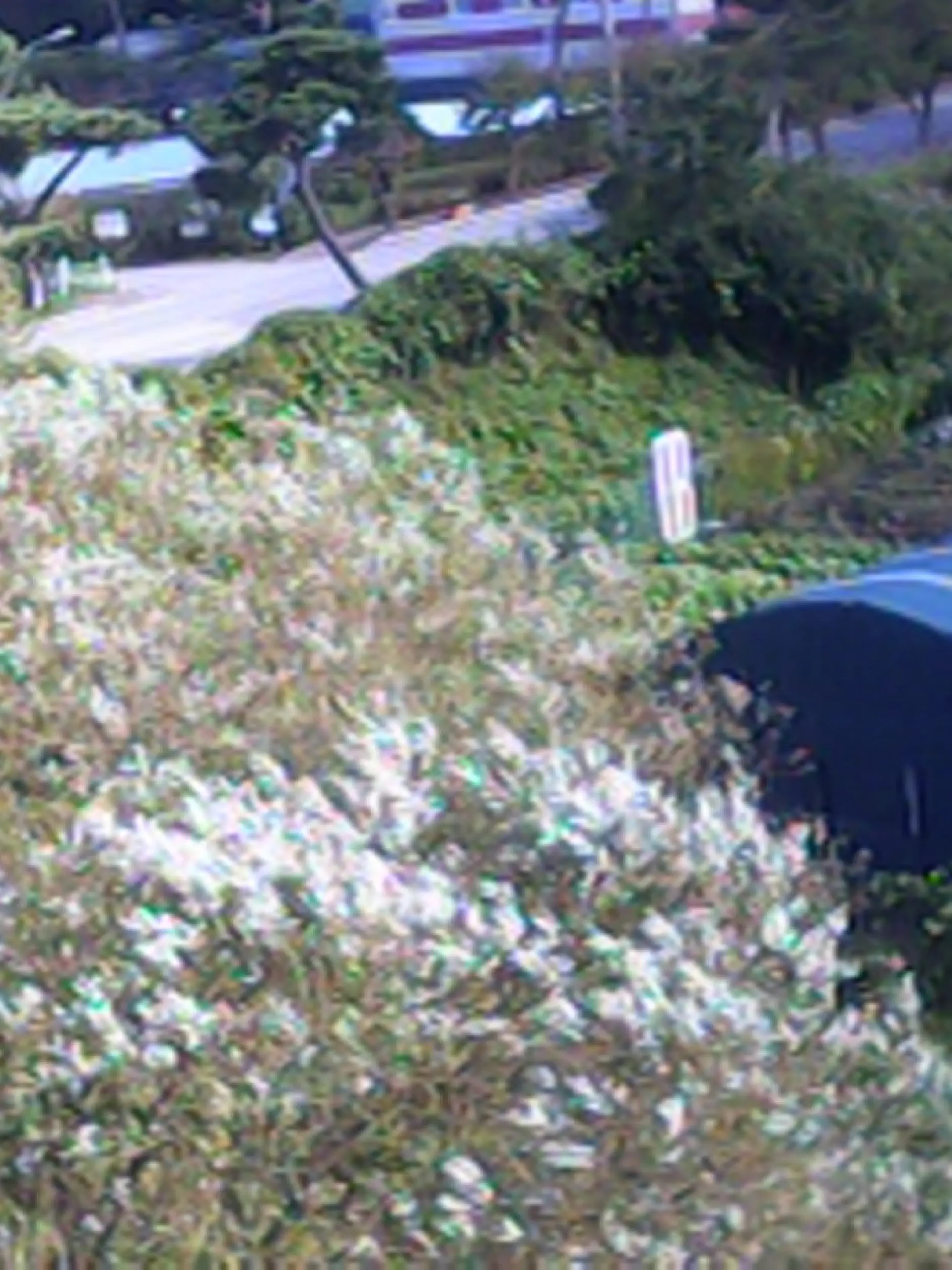 aggress1ve_p1nk의 開天