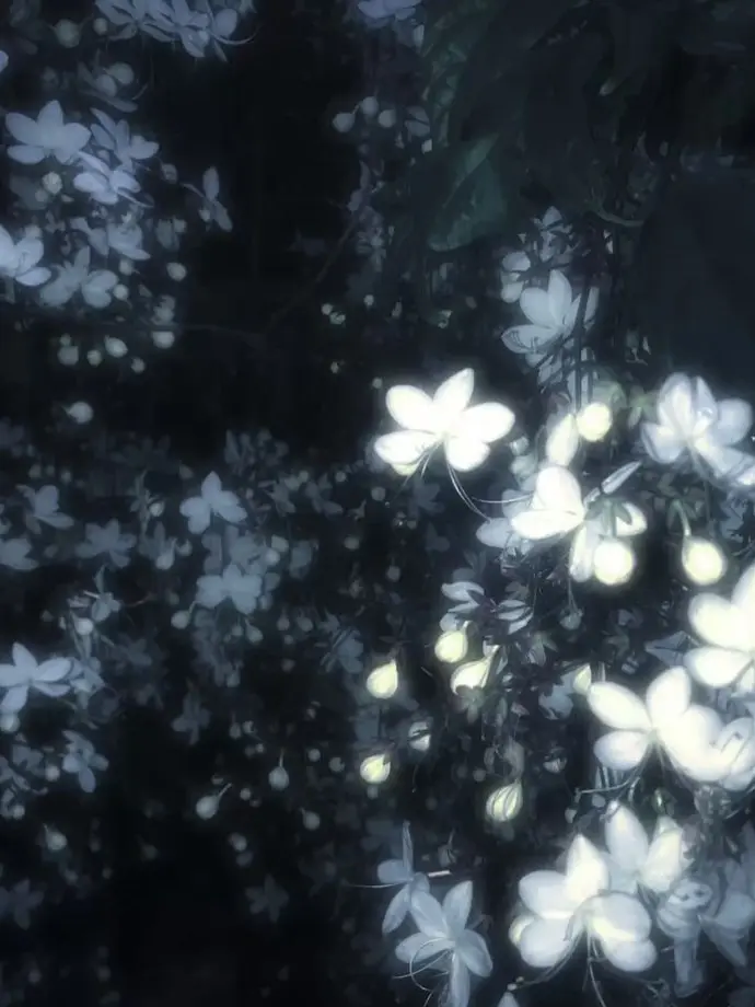 FaintOboe9670의 첫날부터 최악을 겪었다.