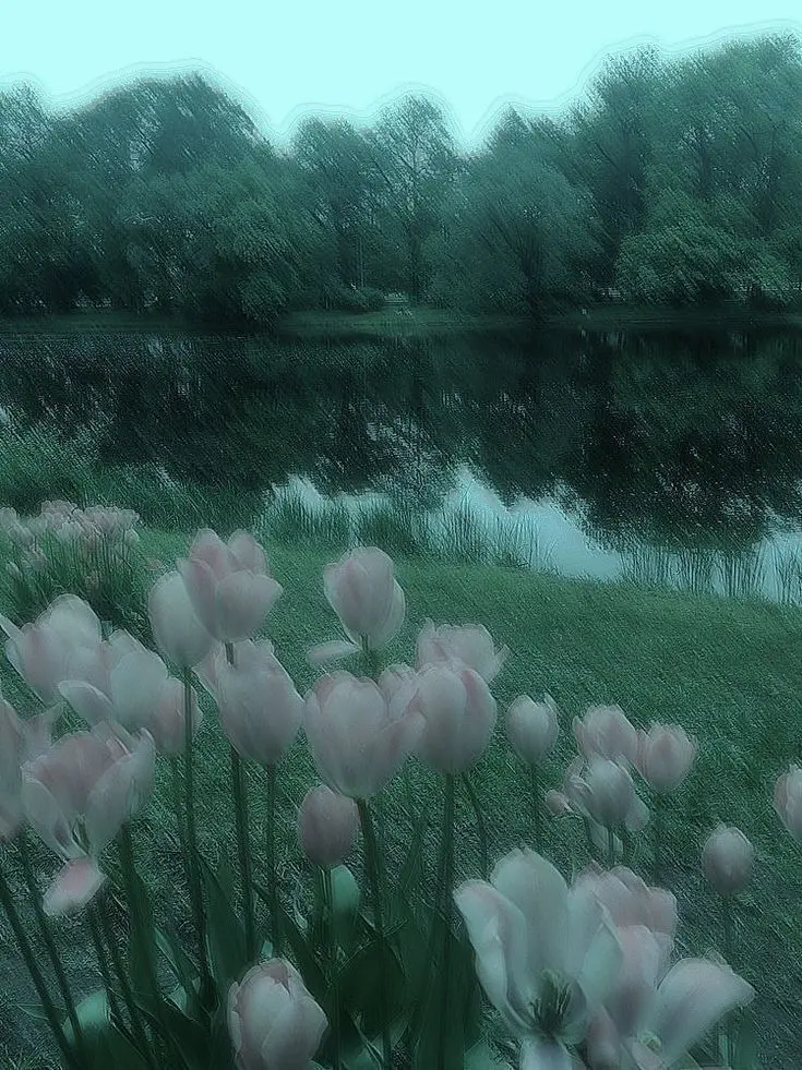 rose136p의 안돼는건 안돼는거야!!