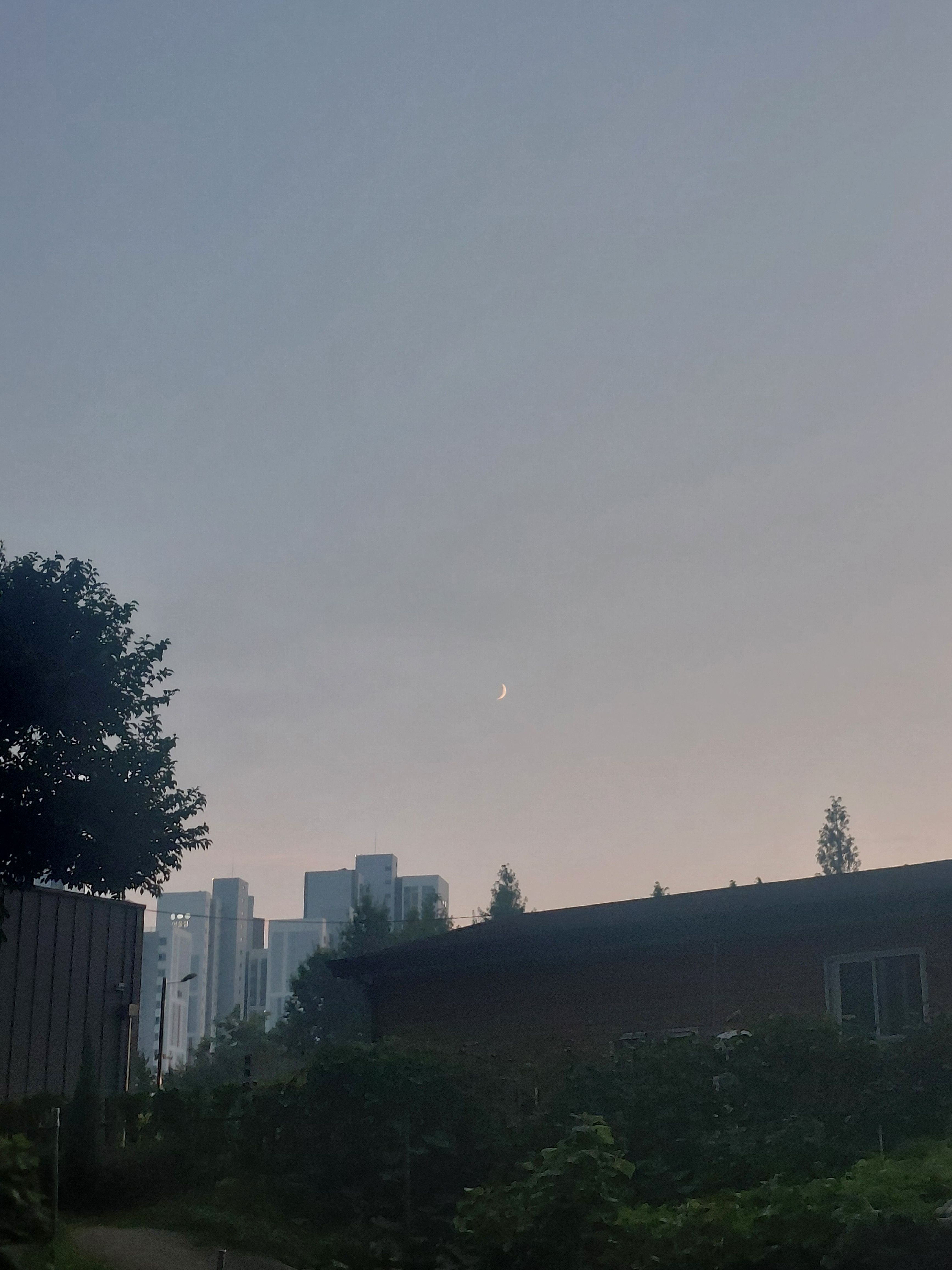 뜰팁 유치원 대표 이미지