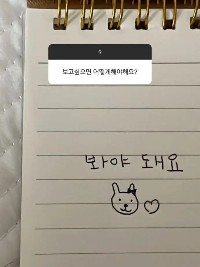 Immacarrymyselff의 김애리