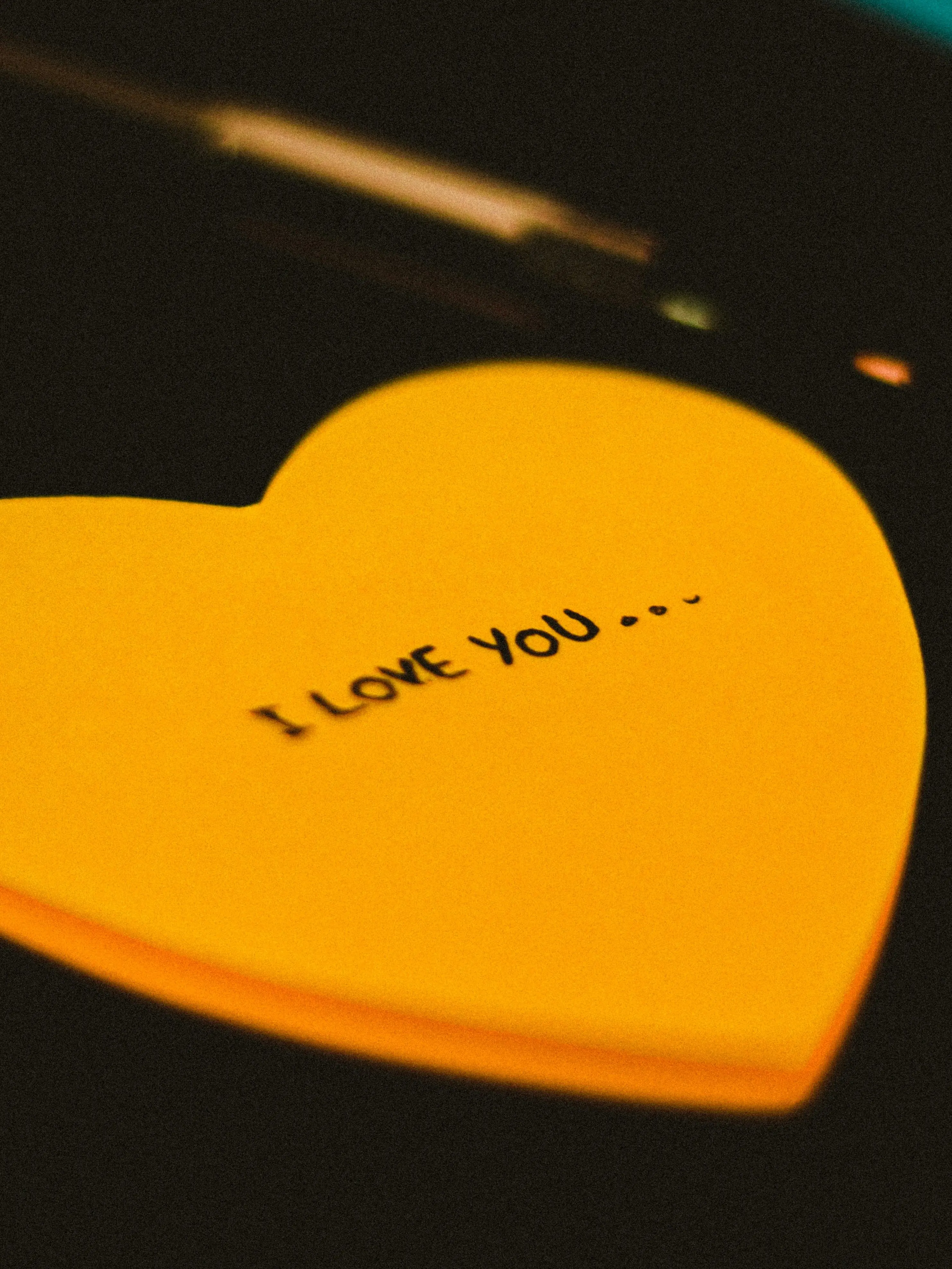 jk7의 🪶 사랑한다고 말해주시오...