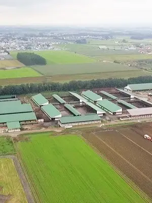 PortlyEye5541의 フタナリ牧場