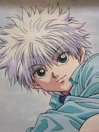 EggyPlain9059의 ゾルディック家に嫁入りする