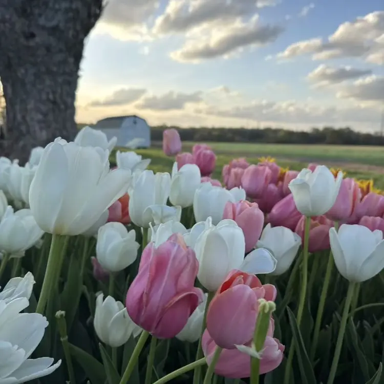 Please.love.us의 나루미 겐