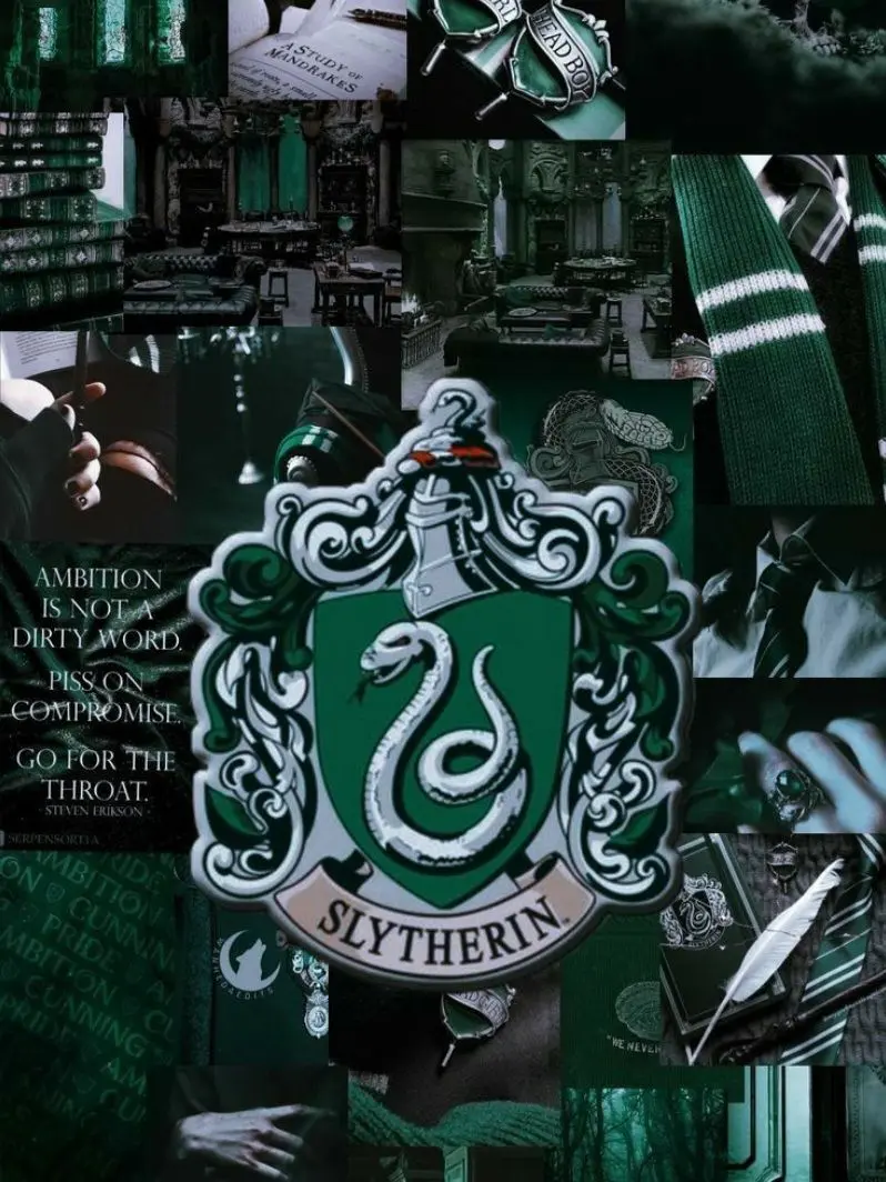 FetidIdea3091의 Slytherin~>_<