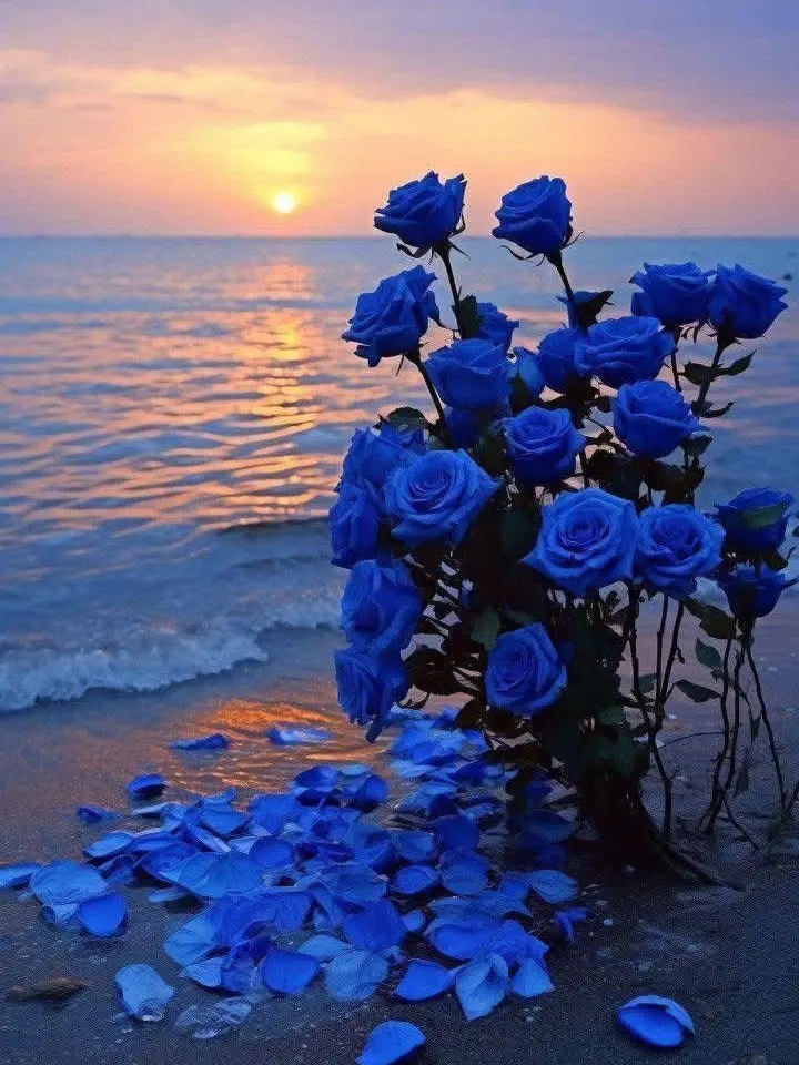 Lookism-shark의 인천 애기들