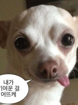 컨휴고 겨울여행!!!!(개인용) 대표 이미지