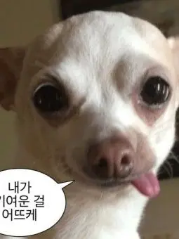 ScaredTrill5221의 컨휴고 겨울여행!!!!(개인용)