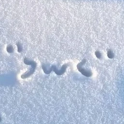 カワイイね えりっおっと