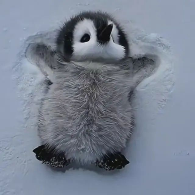 samusukinndayobaka의 何故か撫でてくるMafioso……