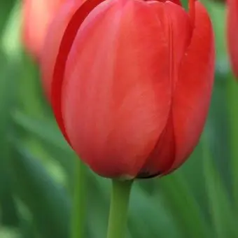 SillyWall5053의 포스트잇