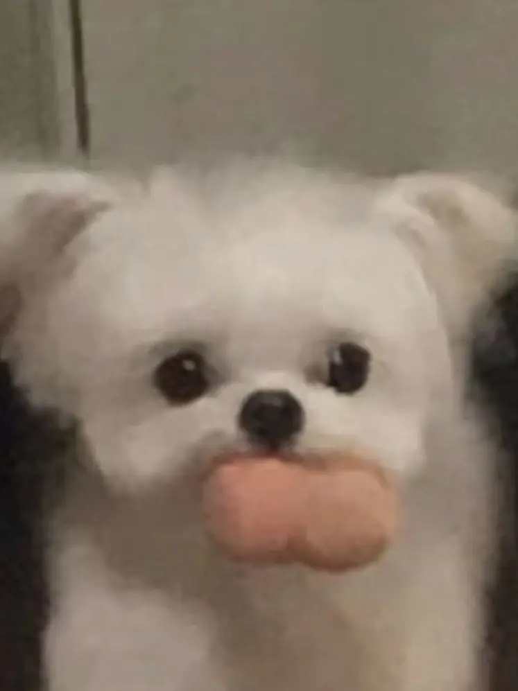 Love_100의 미겜즈