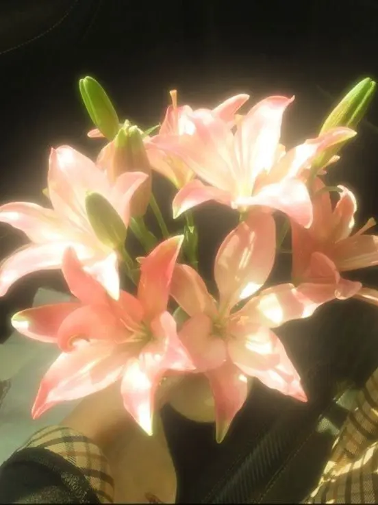 Drama_0910의 우치나가 애리