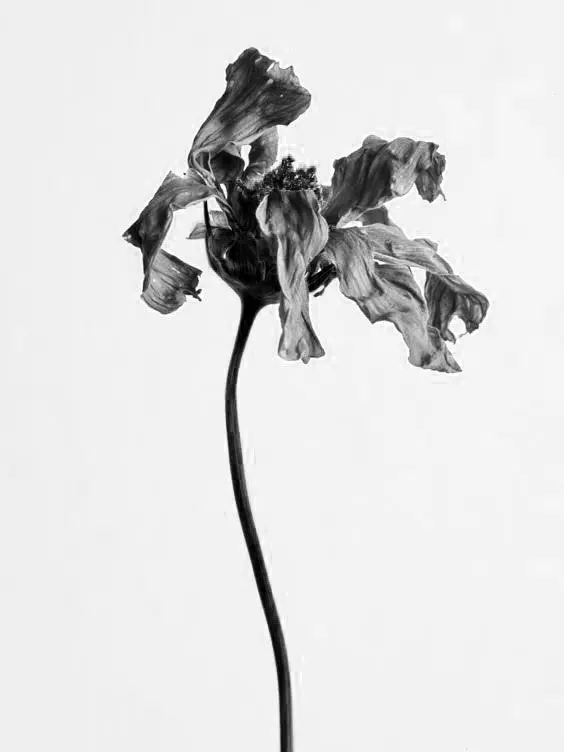 NimbleRobin2486의 확 던진 물병