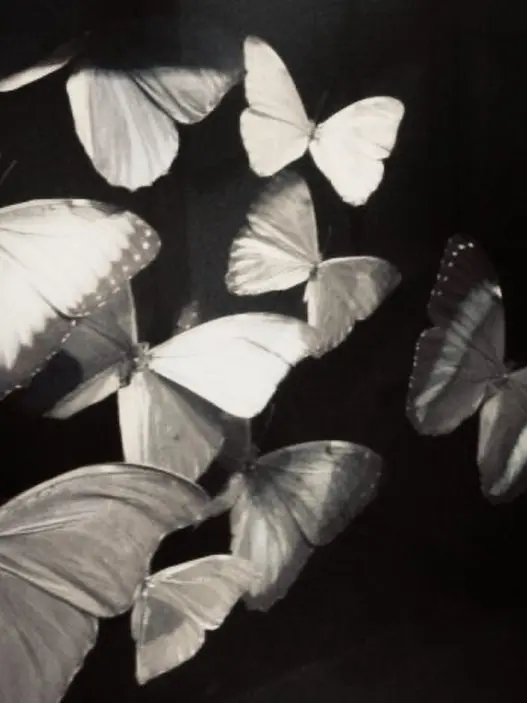 Hamm_ii의 .·˖*·⑅♡