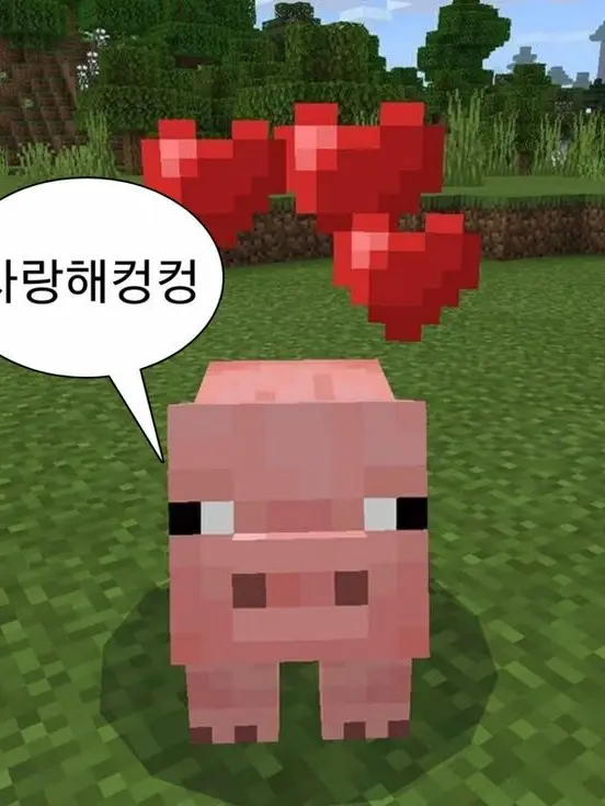 NoisyEmu9860의 남녀무리 수학여행(유저남자)