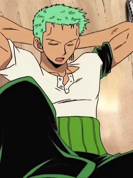 LaxestMole9730의 내가 원피스에 떨어지면?