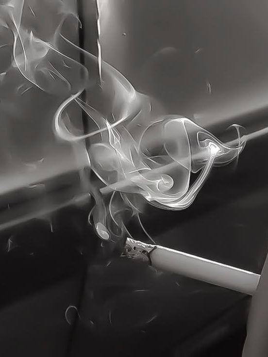 @ 대표 이미지