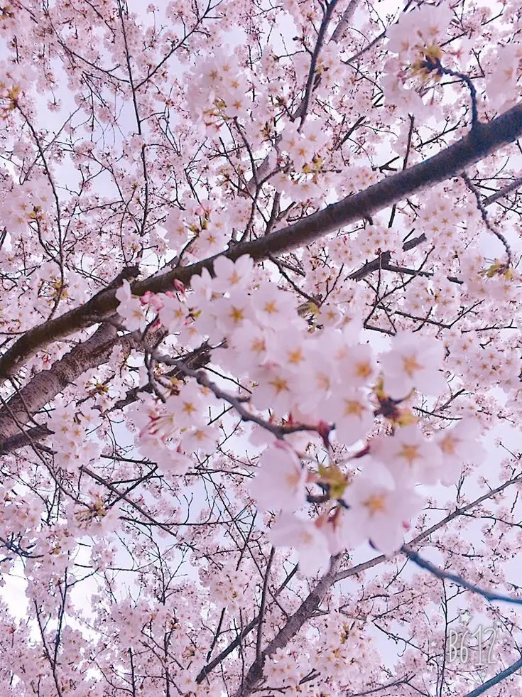 mio_0909의 私、織田信長とその小姓に愛され…？