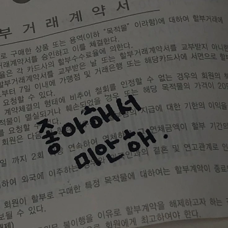 어차피 떠나갈 사랑.