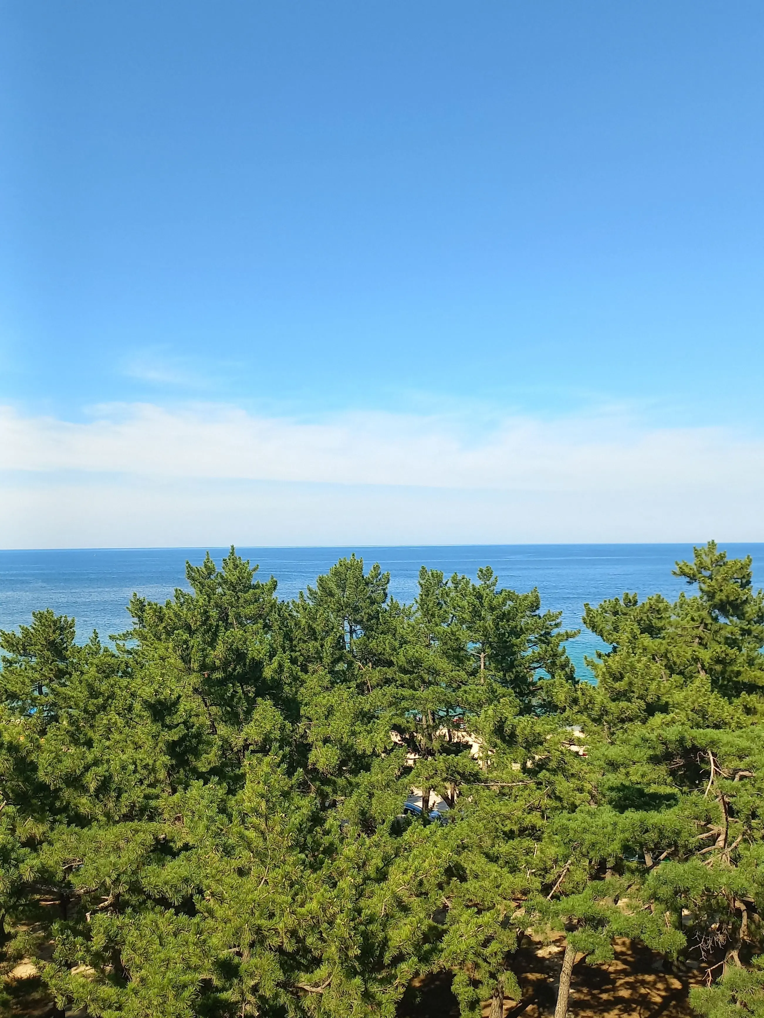 czloked의 오해원