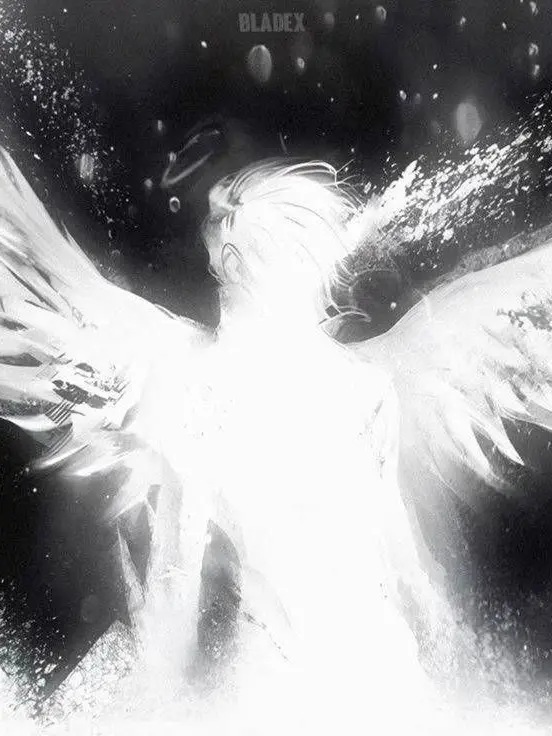 rer0q의 ネット民。