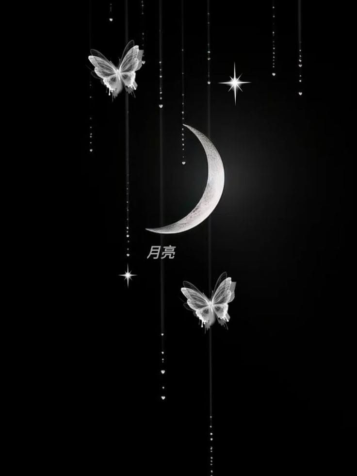 화★★환 대표 이미지