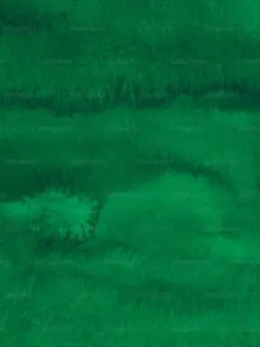 ALSLXMRRHDEO의 그림자 군주(?)