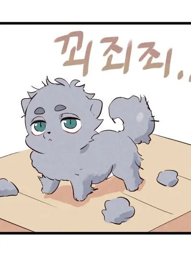 HAIKYU_ii의 남친이...