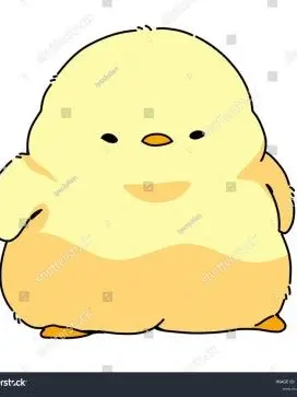 0413의 병아리들의 탐험